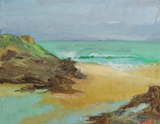 Plage de l'Ouest - Paysages