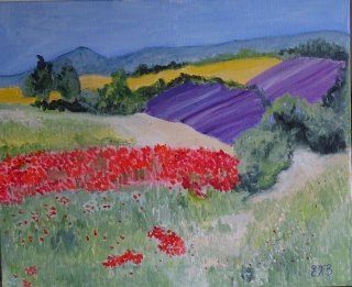 Valensole Plateau - Provence