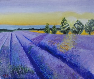 Sunset au Plateau de Valensole - Provence