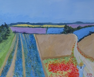 Symphonie de Violet - Provence