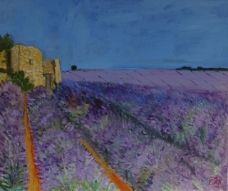 Lavende autour de la Tour - Provence