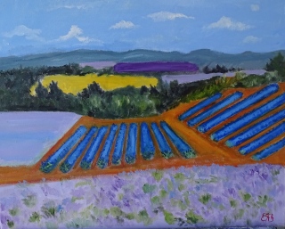 Symphonie de Mauve - Provence
