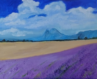 Les Montagnes de Valensole - Provence