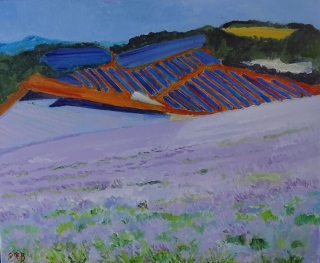 Douce Harmonie - Provence